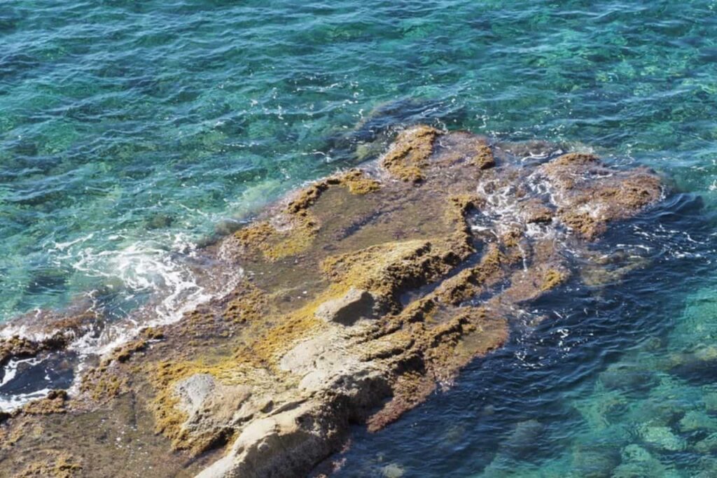 Cala Cap Blanc of Punta Estrella (Moraira), een van de beste baaien aan de Costa Blanca om te snorkelen of te duiken.