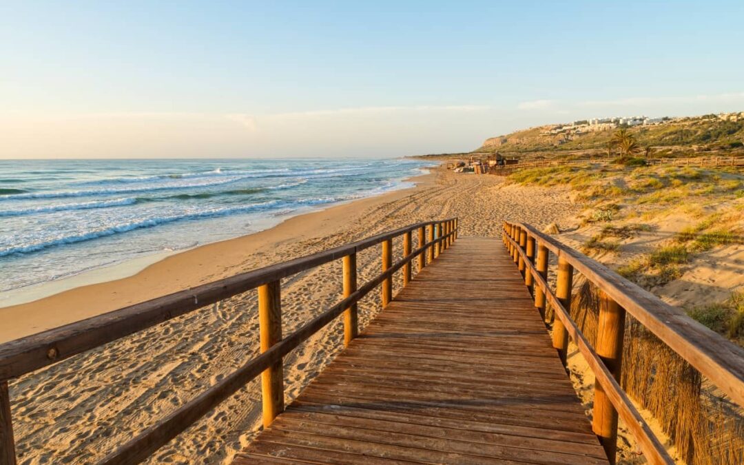 Get to know the Costa Blanca: where is it? Gastronomy, beaches, weather and homes for sale