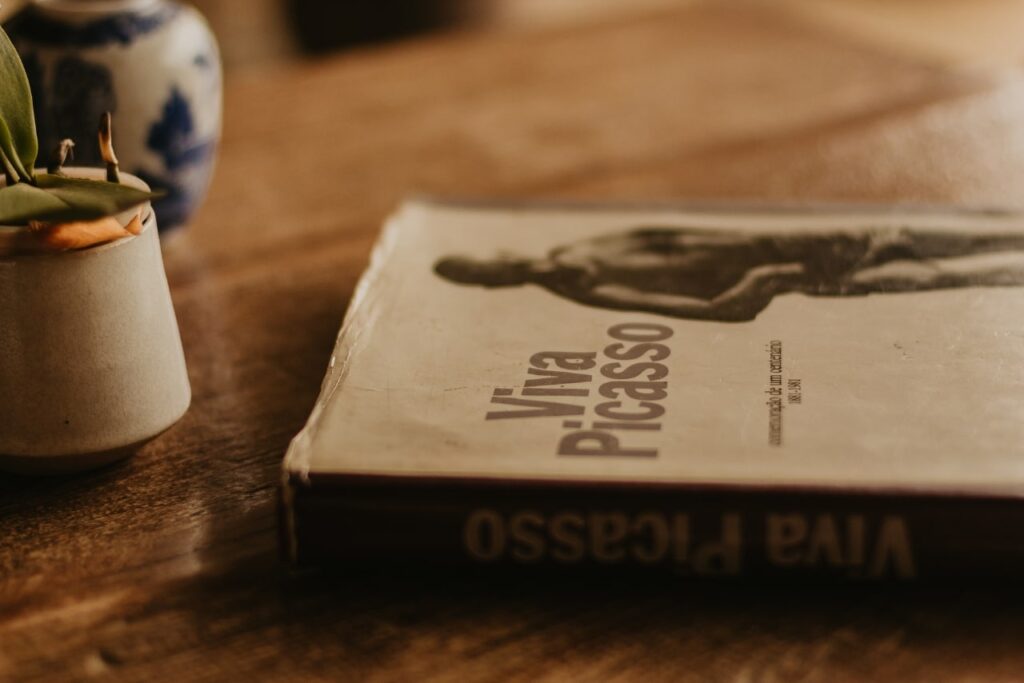 Op de omslag van het boek staat